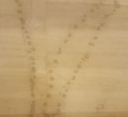 瓷磚打磨拋光保養怎么做？